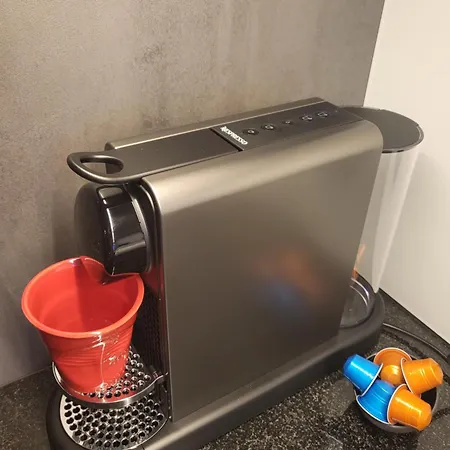 아파트 House Mojo 체르마트